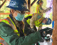 Sustainability Catalogue -  California Conservation Corps Digital Painting